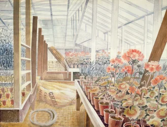 Pelargoner och nejlikor